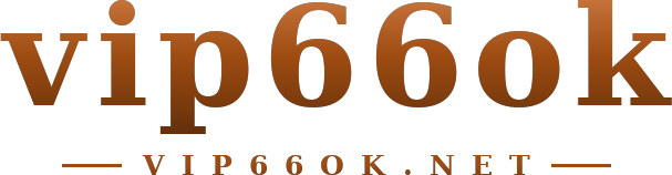 vip66ok logo